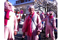 2013_umzug_0034